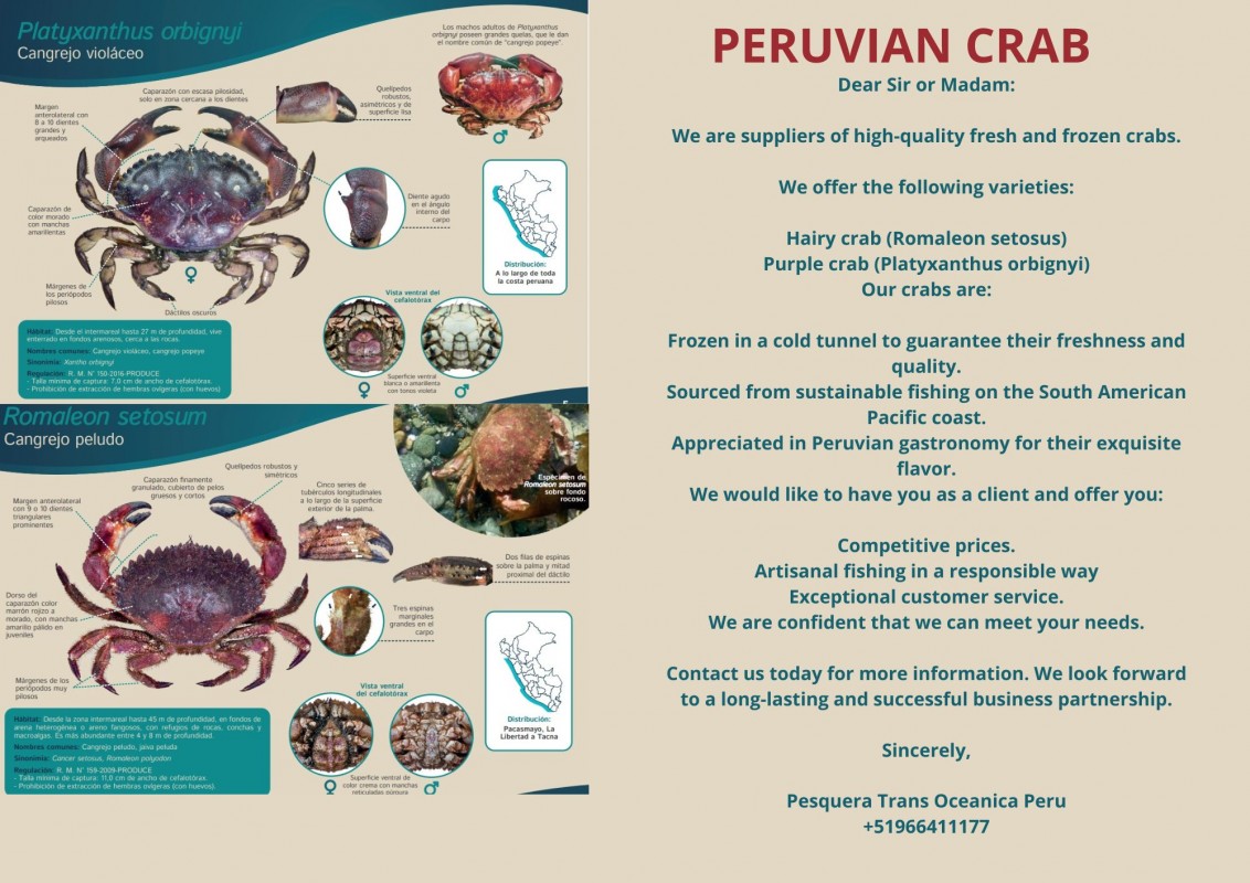 Romaleon setosus Platyxanthus orbignyi from Peru